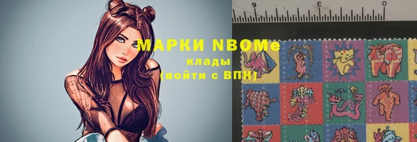 стаф Абаза