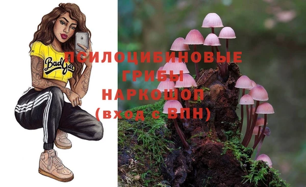 метадон Алексеевка