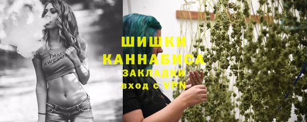 стаф Абаза