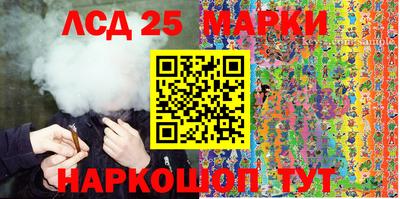 стаф Гатчина