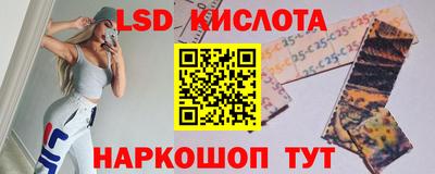 стаф Гатчина