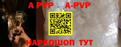 стаф Гатчина