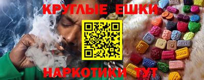 стаф Гатчина